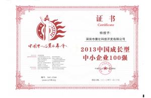 中國中小企業(yè)100強（成長型）